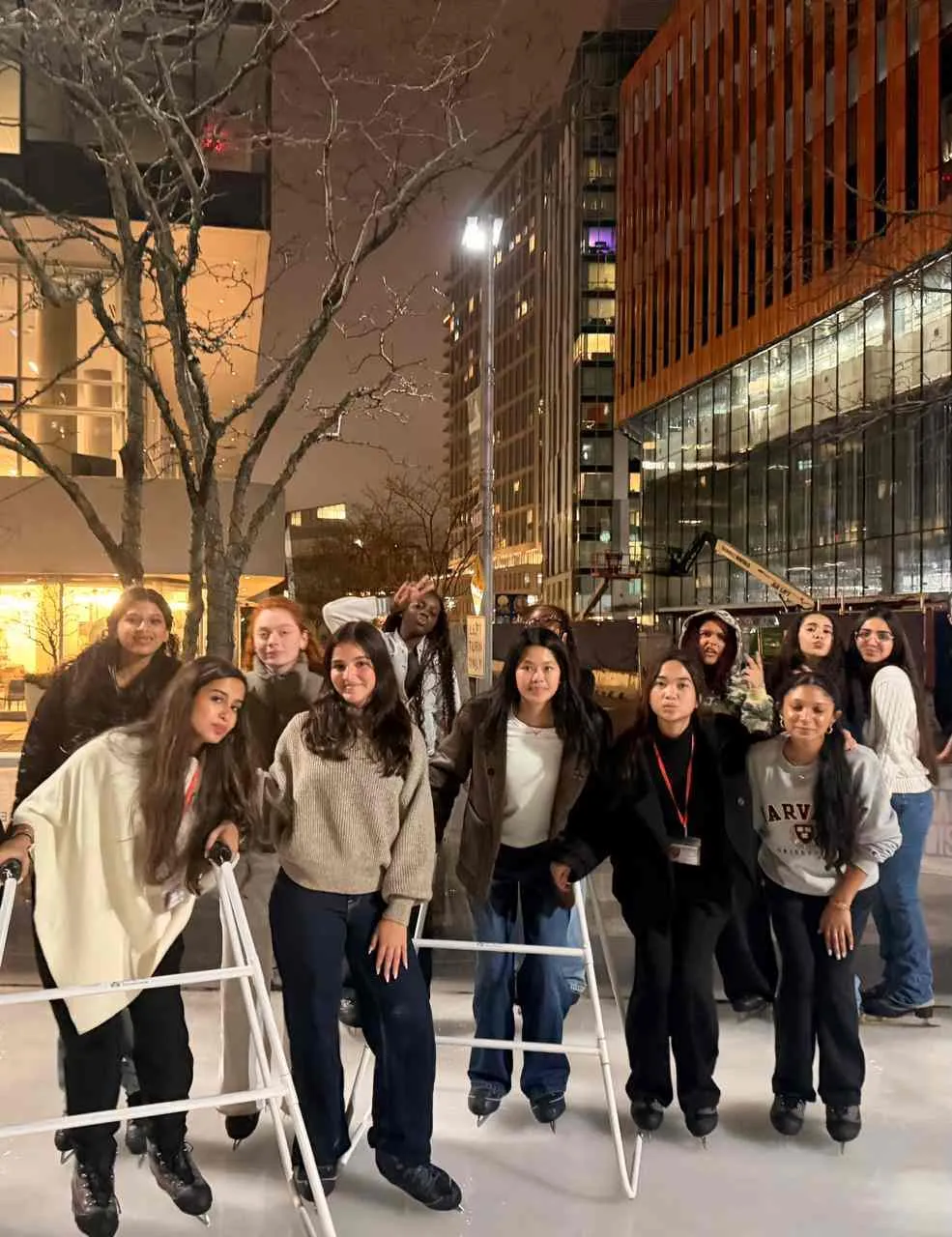 Ice skating
