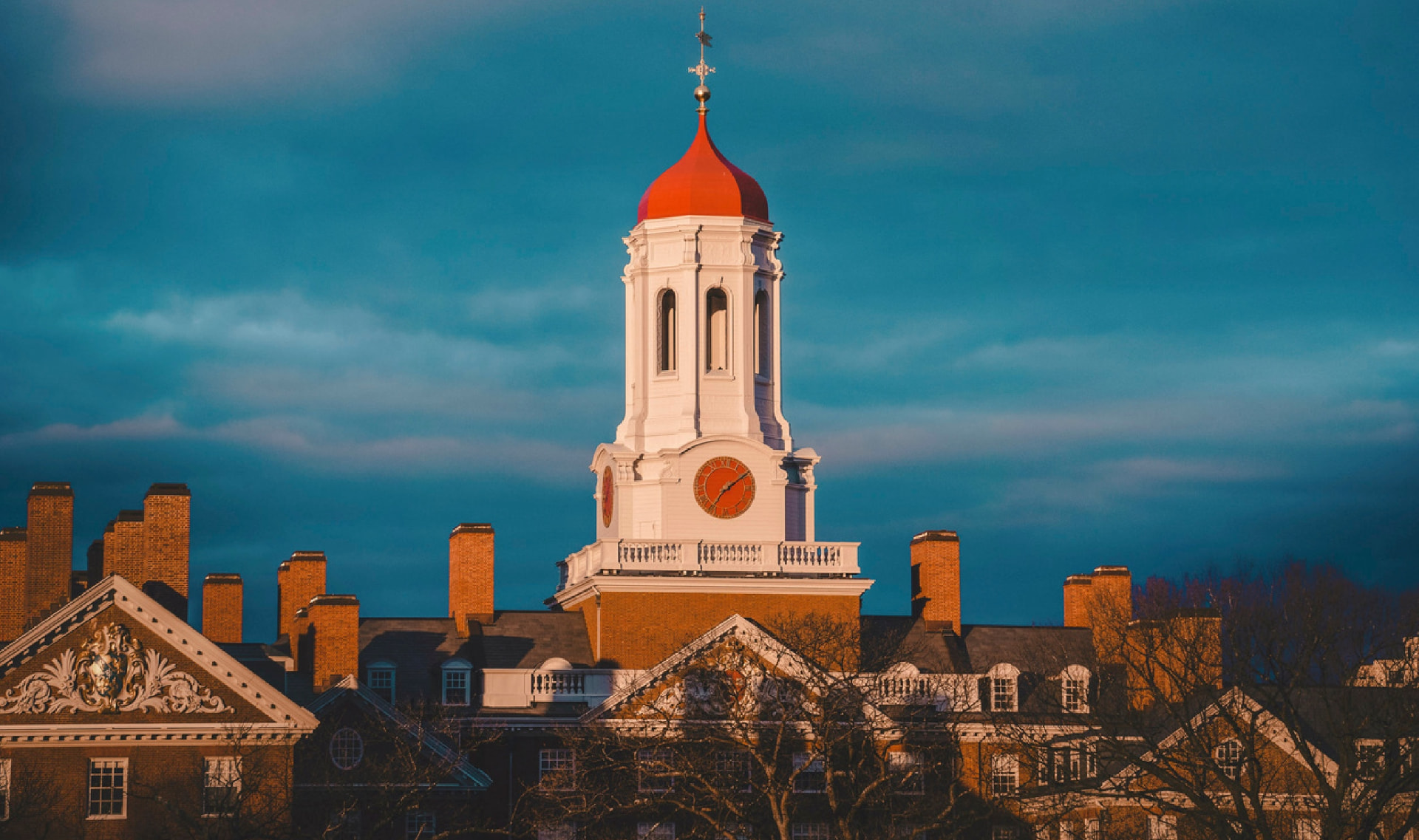 Harvard University campus — behind the Pre-Med Academy