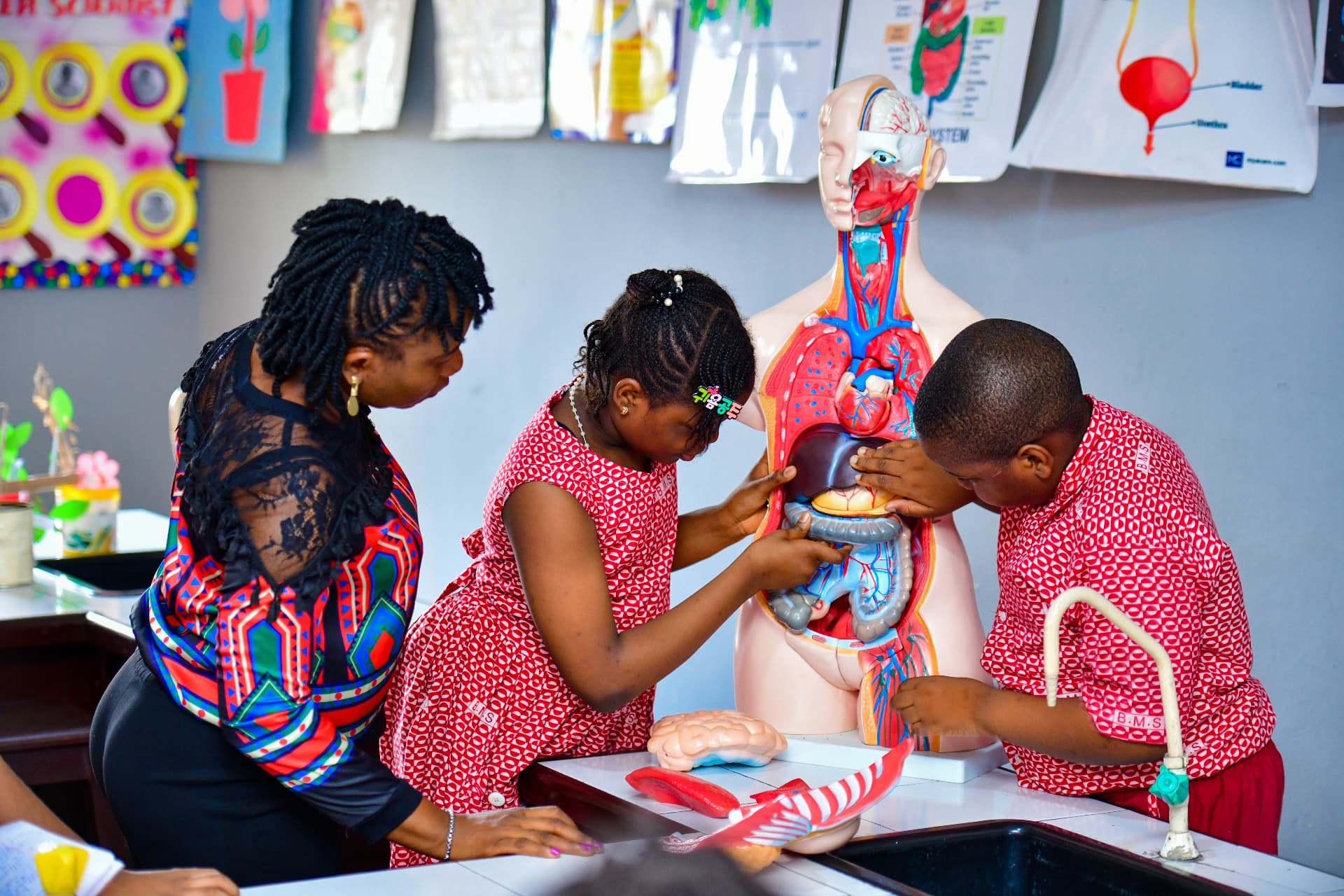 Students exploring an anatomy model in the science lab